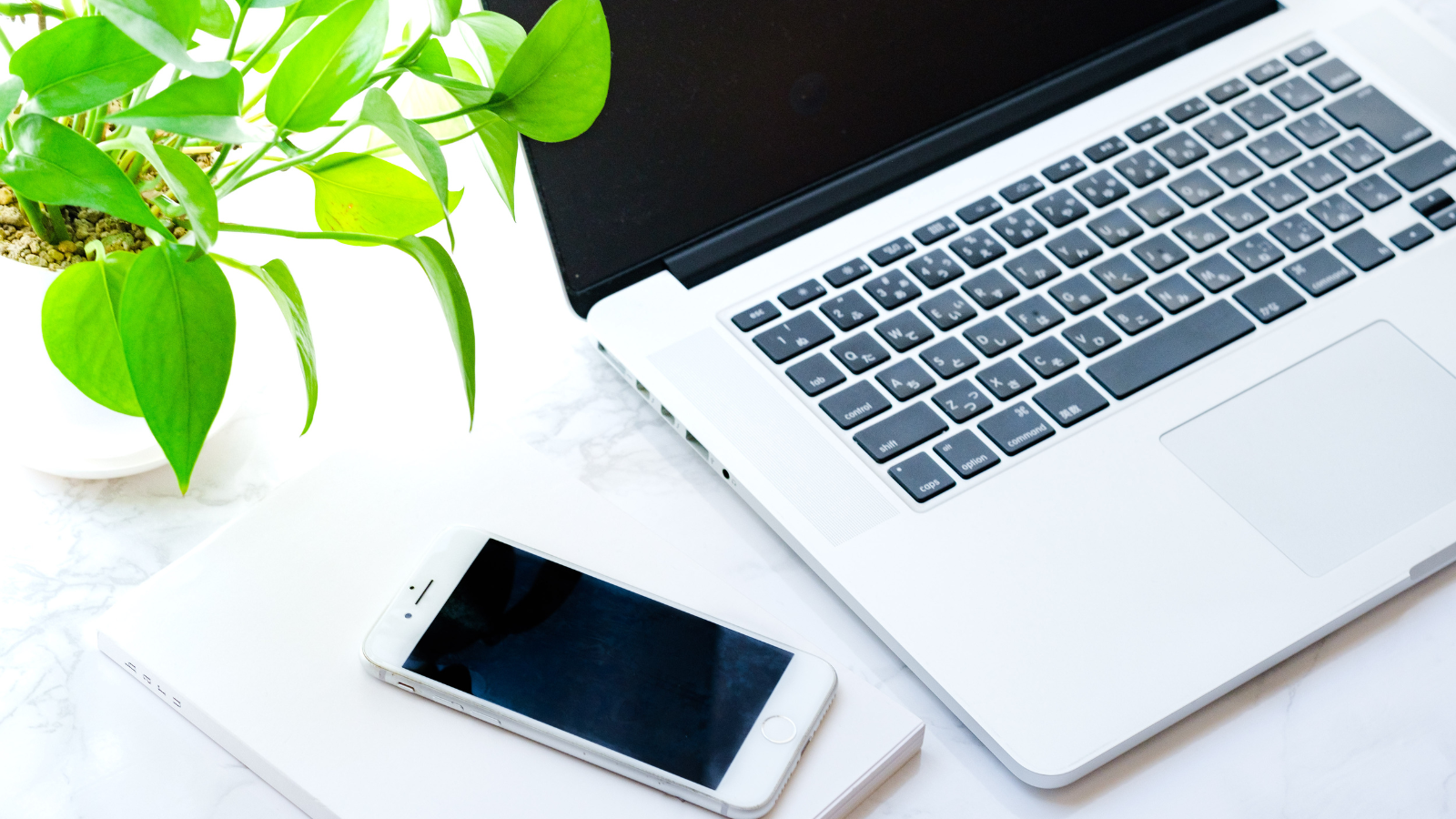 介護福祉事業のWEBサイト制作例